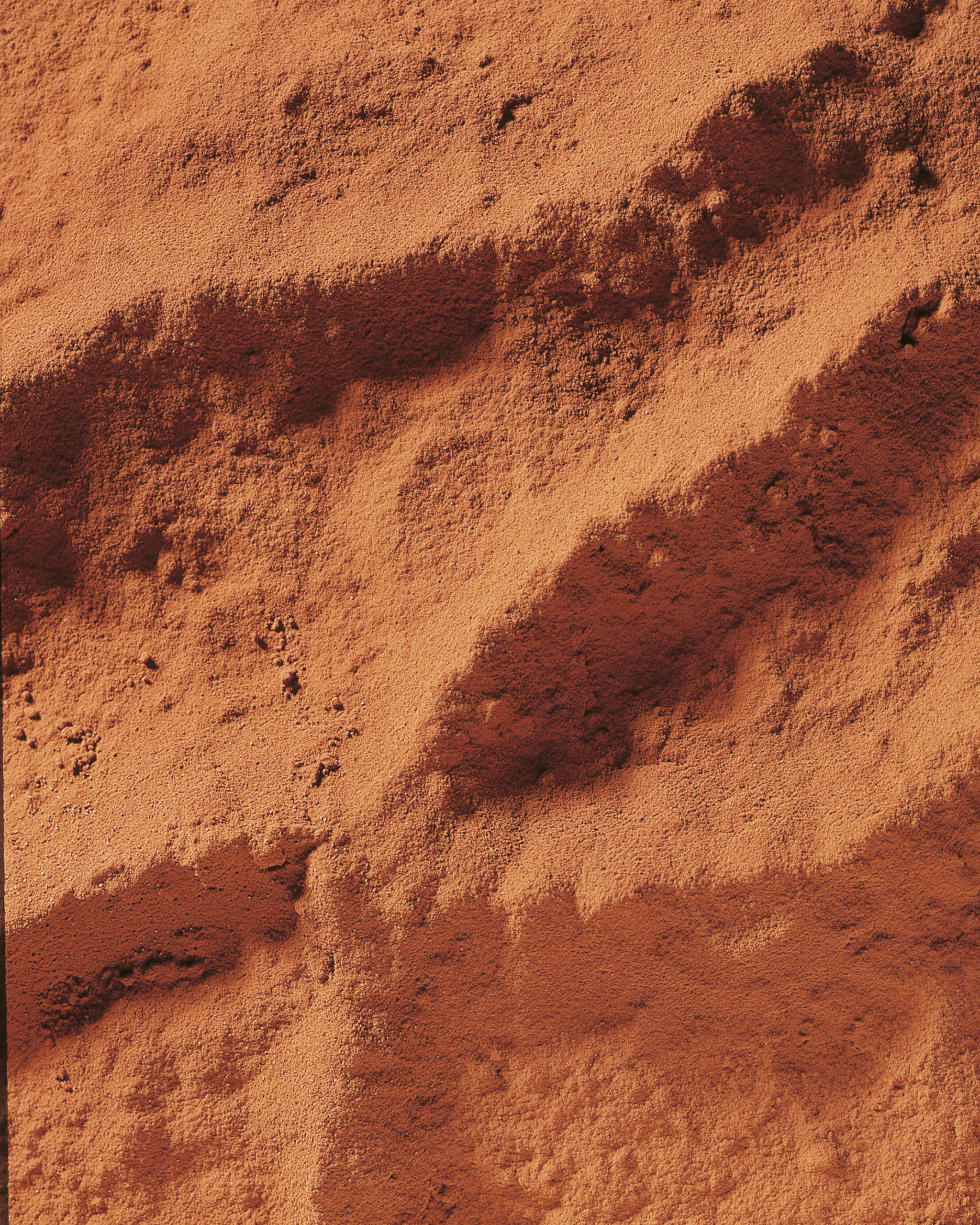 Cocoa Powder 10-12%