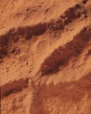 Cocoa Powder 22-24%