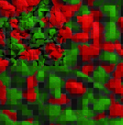 Red And Green Tree Sprinkles