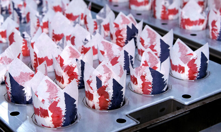 Usa Flag Tulip Cup 160 X 160