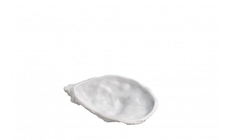 Oyster Dish L