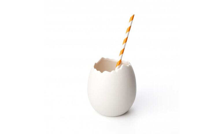Ostrich Egg