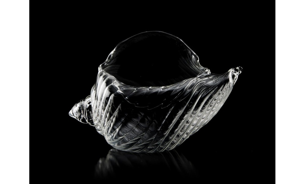 Seashell Glass