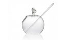 Apple Glass