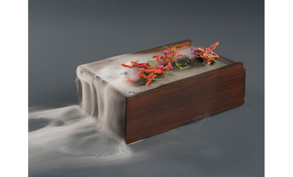 Dry Ice Block 250 G - Image 8