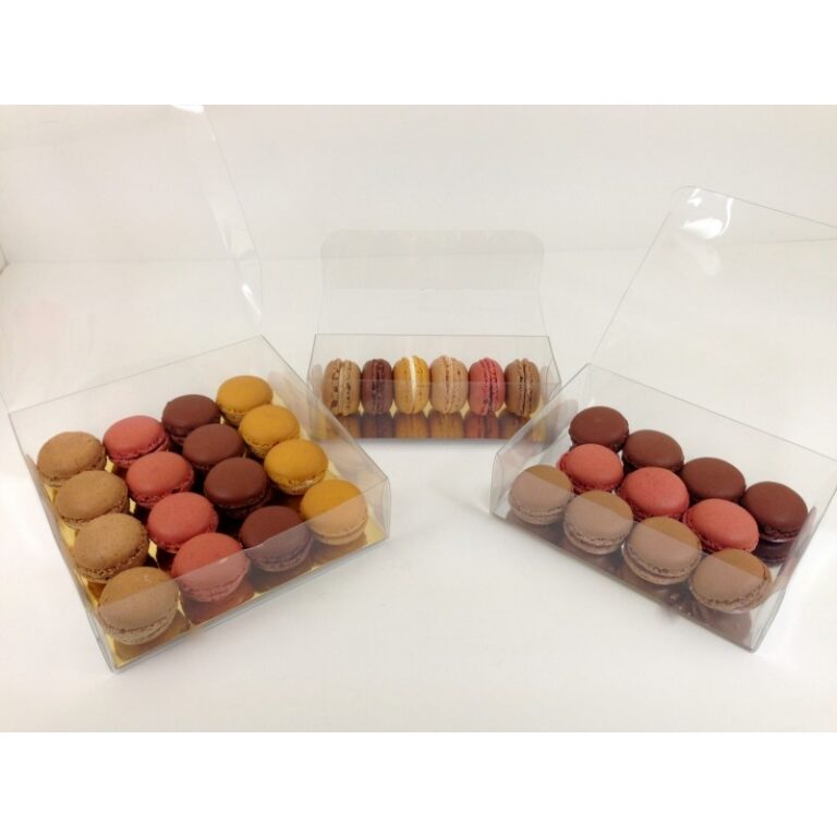 Large Clear Plastic Hinged Box