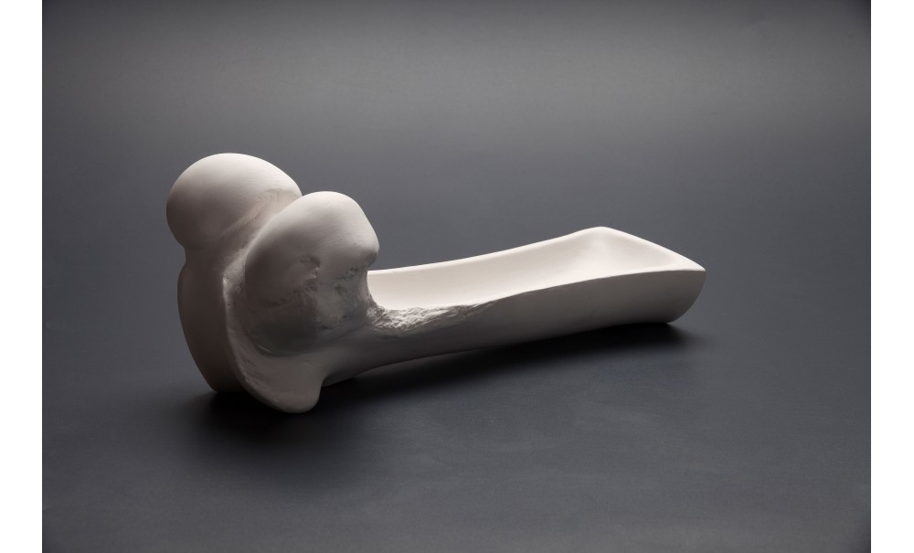 Ox Big Femur Plate - Image 2