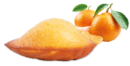 Citrus Madeleine