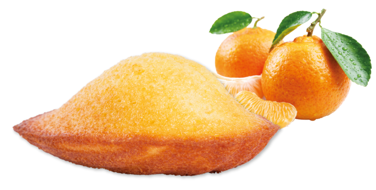 Citrus Madeleine