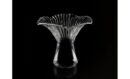 Lactarius Glass