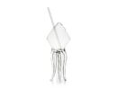 Squid Glass