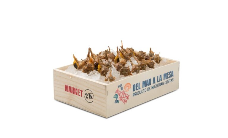 wood seafood box 2k